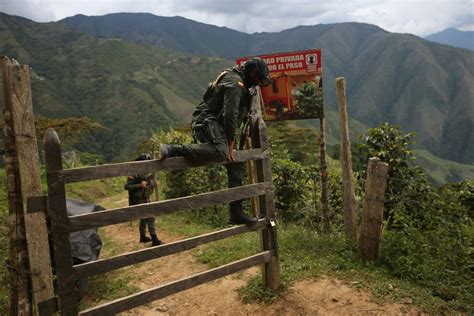 chinese gold digger|Focus: Gold diggers: Illegal mining near Colombian town hits Zijin .